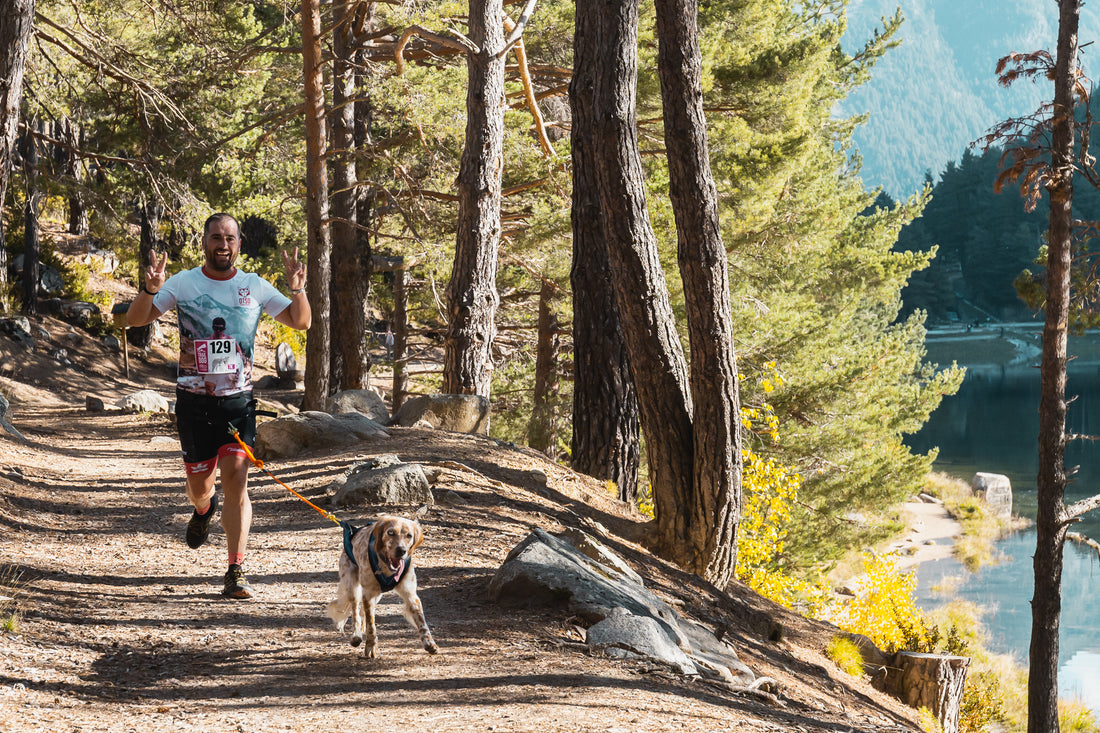 Resultados e Imágenes de la OTSO Trail Dog 2022