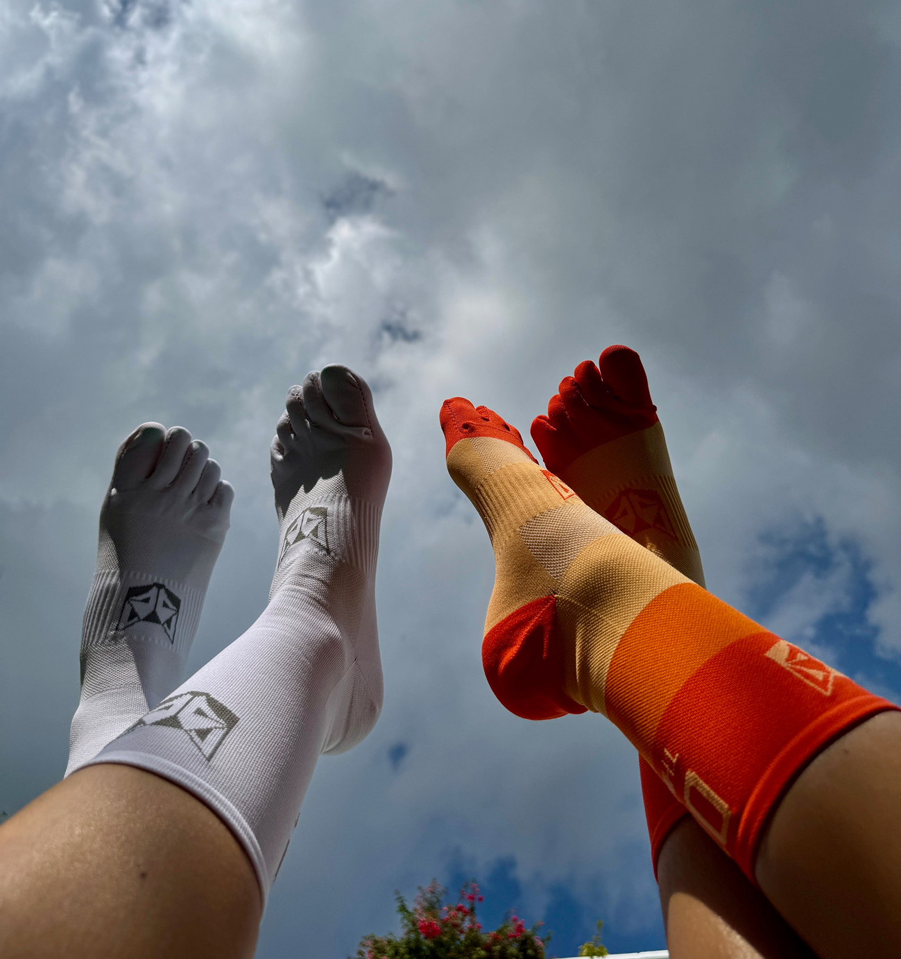 Imagen de la sección