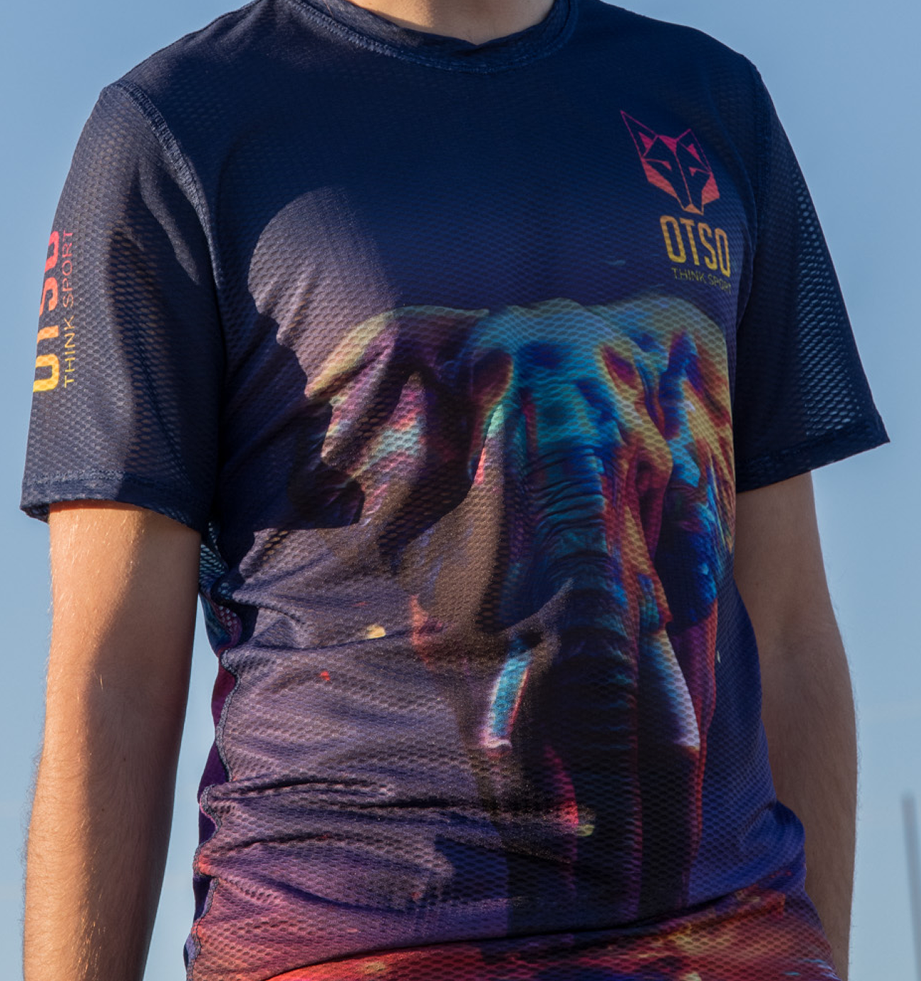 Imagen de la sección