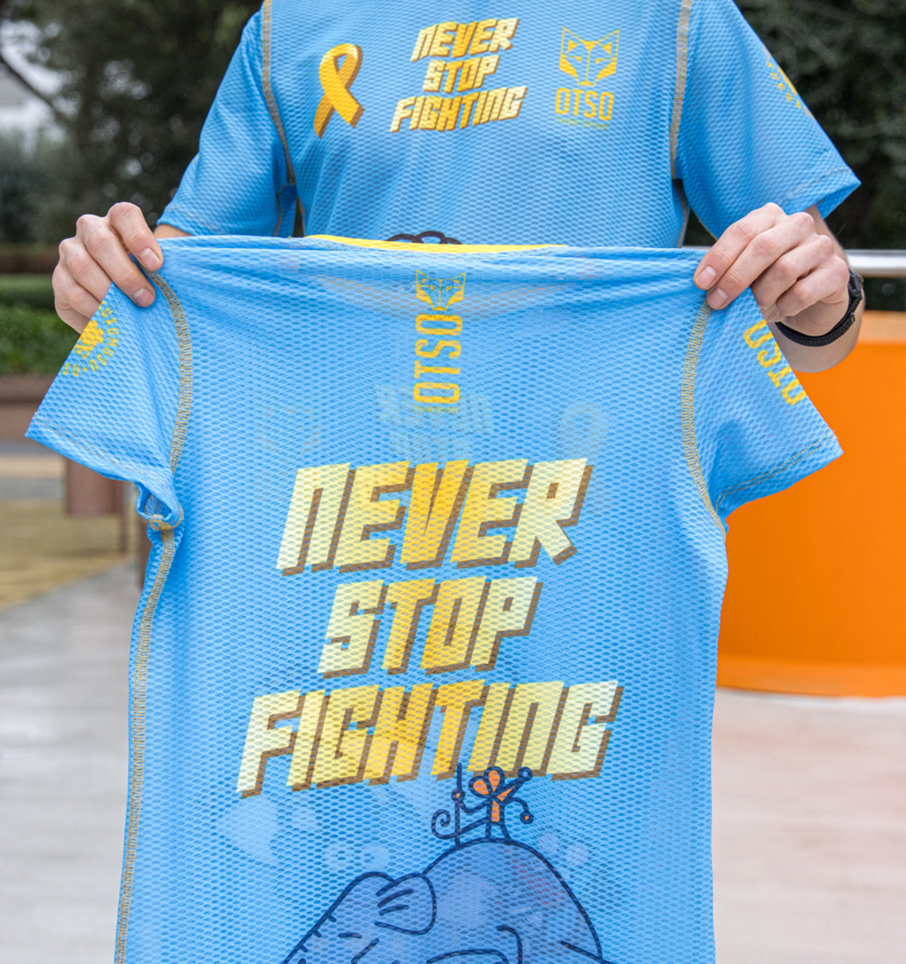 Imagen de la sección