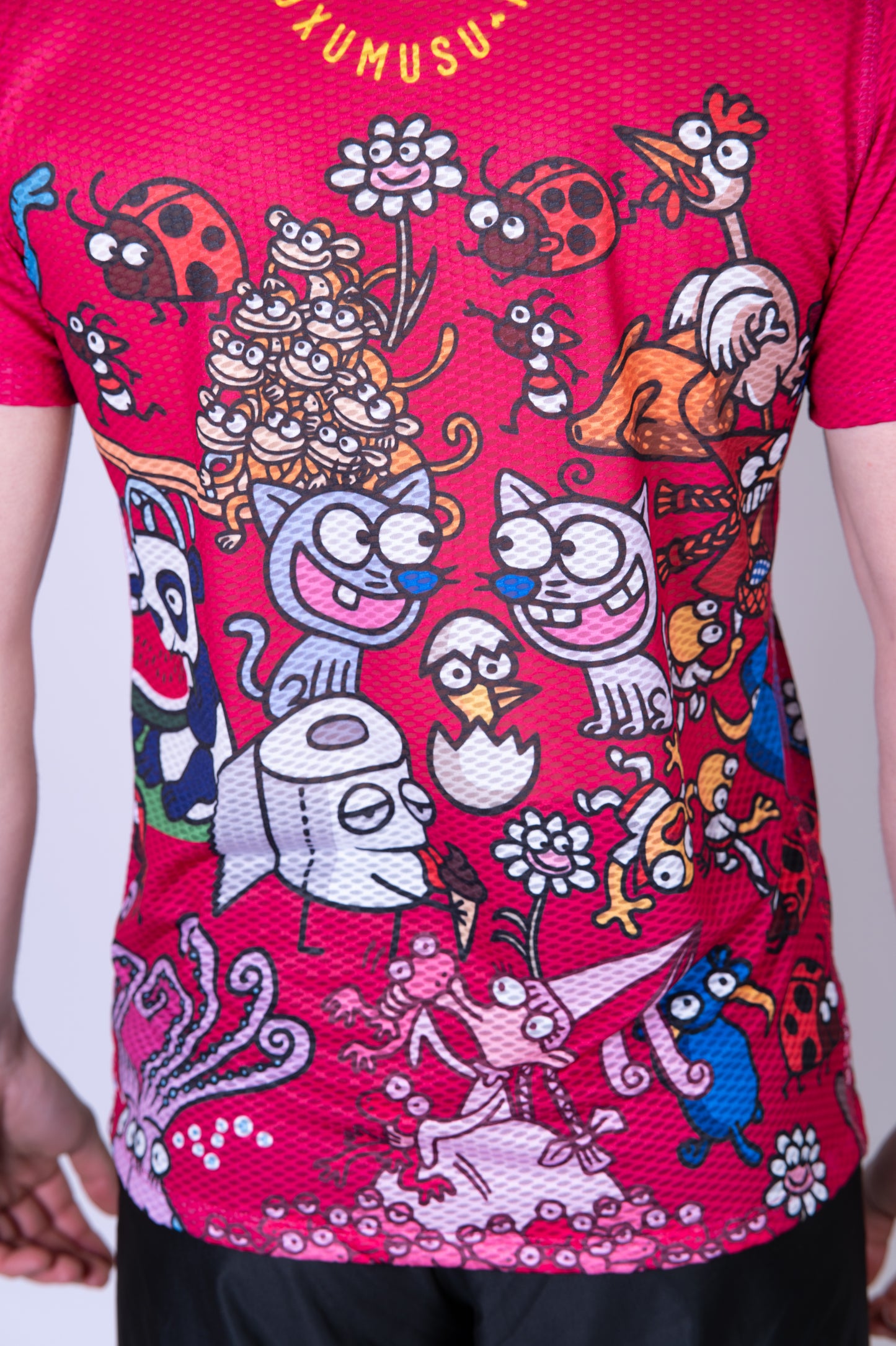 Short sleeve t-shirt for men - Kukuxumusu Mix Kuku