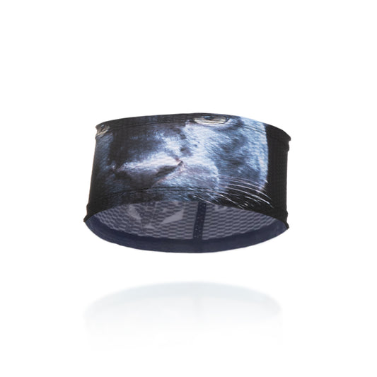 Fascia dai Panther ultraleggeri