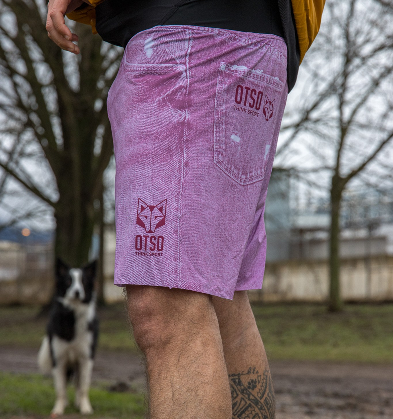 Imagen de la sección